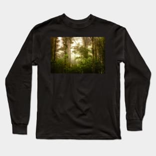 Peace and tranquillity in a foggy wood Long Sleeve T-Shirt